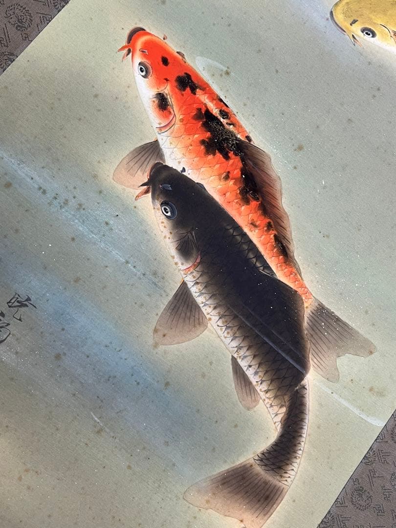 掛け軸桐箱入り評価額有り　美術年鑑第十五号評価34万5千円游鯉図　作者　花村胱韵