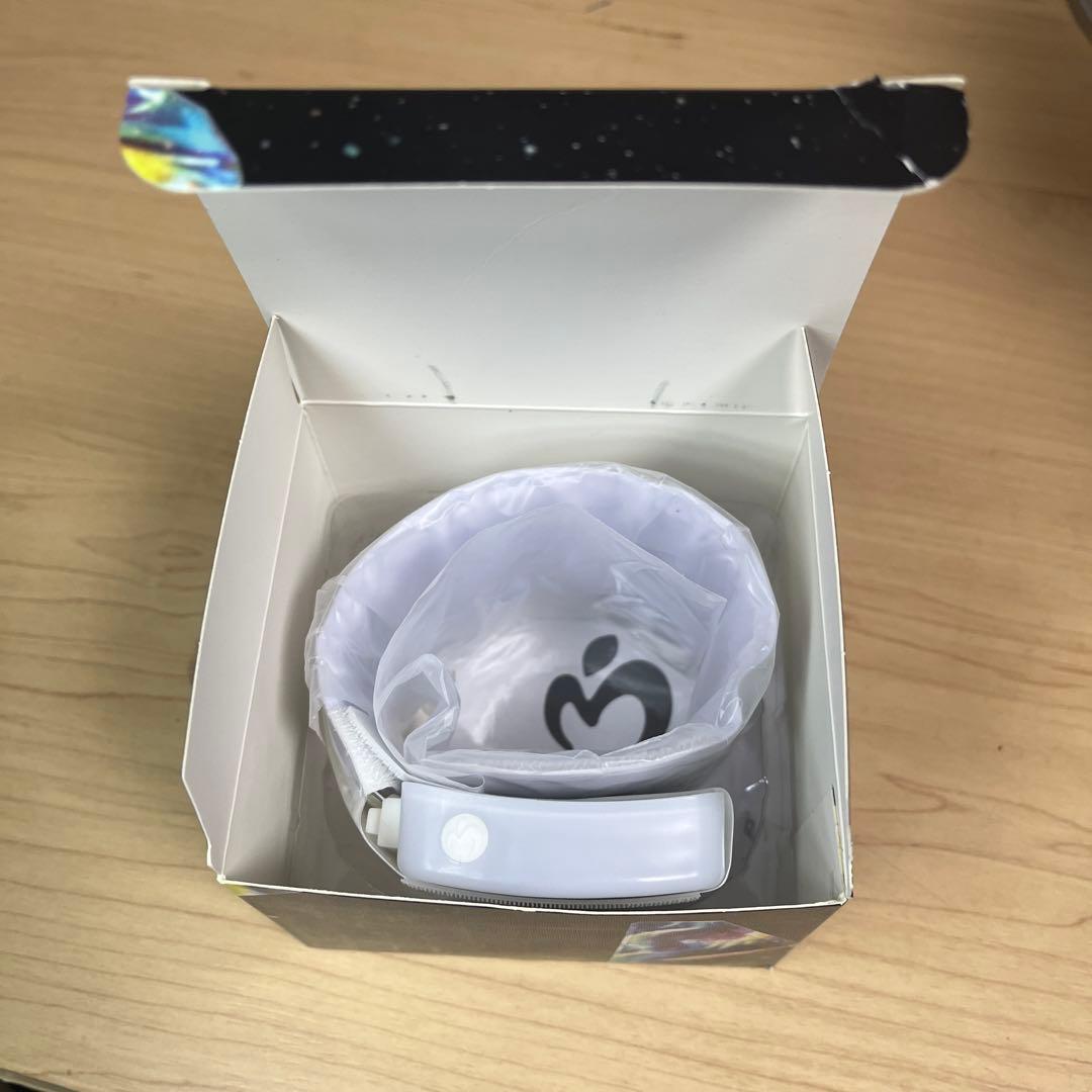 ミュージシャン WELTRAUM Light Band Mrs. GREEN APPLE