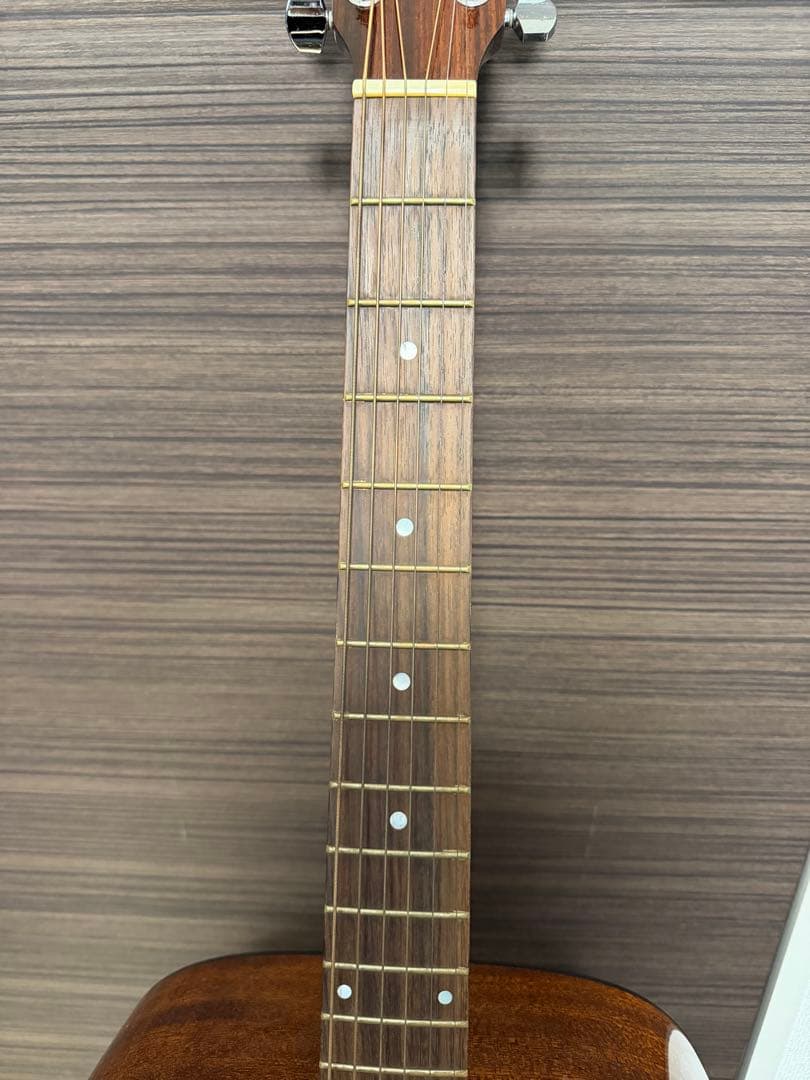 Syain アコースティックギター ハードケース付き