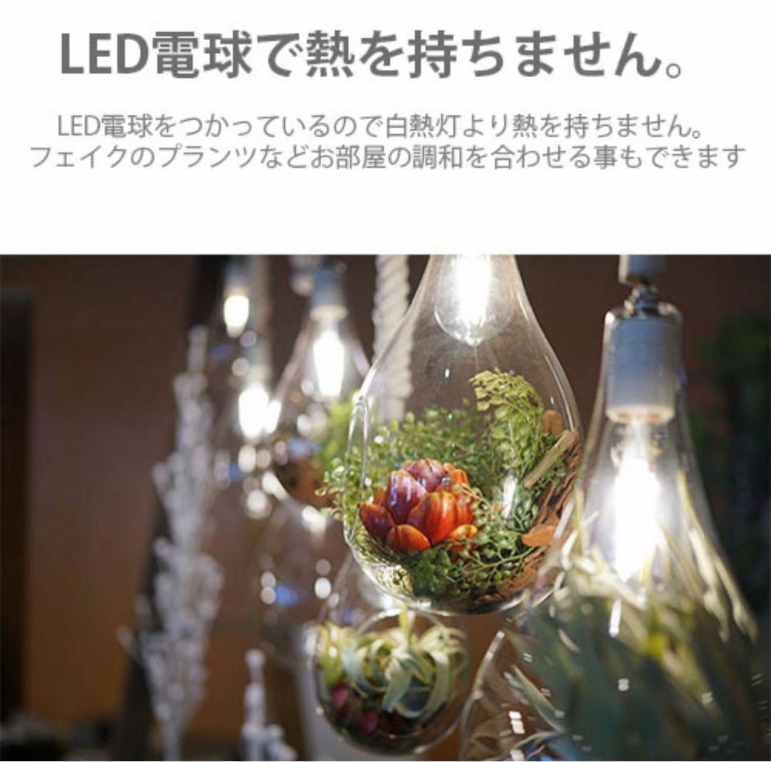 SWAN スワン電器 ボタニックハンギングライト(L)電球無