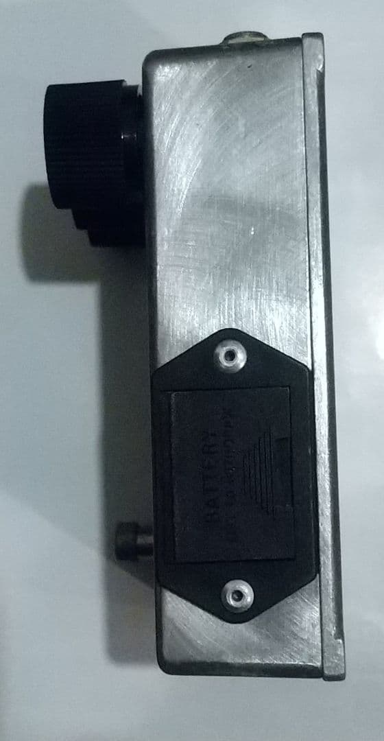 Skinpimp Buzzaround(Mullard OC84搭載)