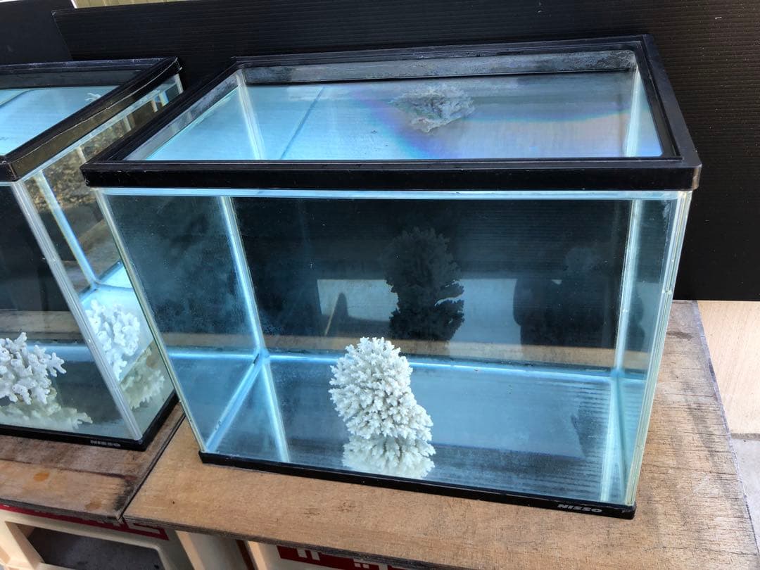 か*ん様 水槽45×30×H36cm 2本