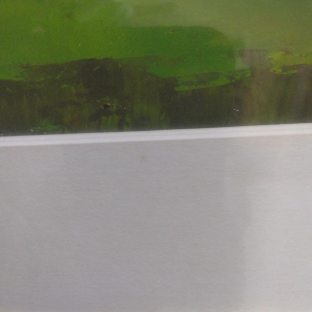 マーク・キング　オーガスタ11番ホール　中古　大判額装アートポスター