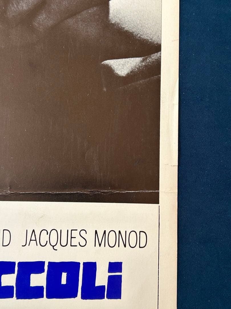 獲物の分け前　USオリジナル映画ポスター