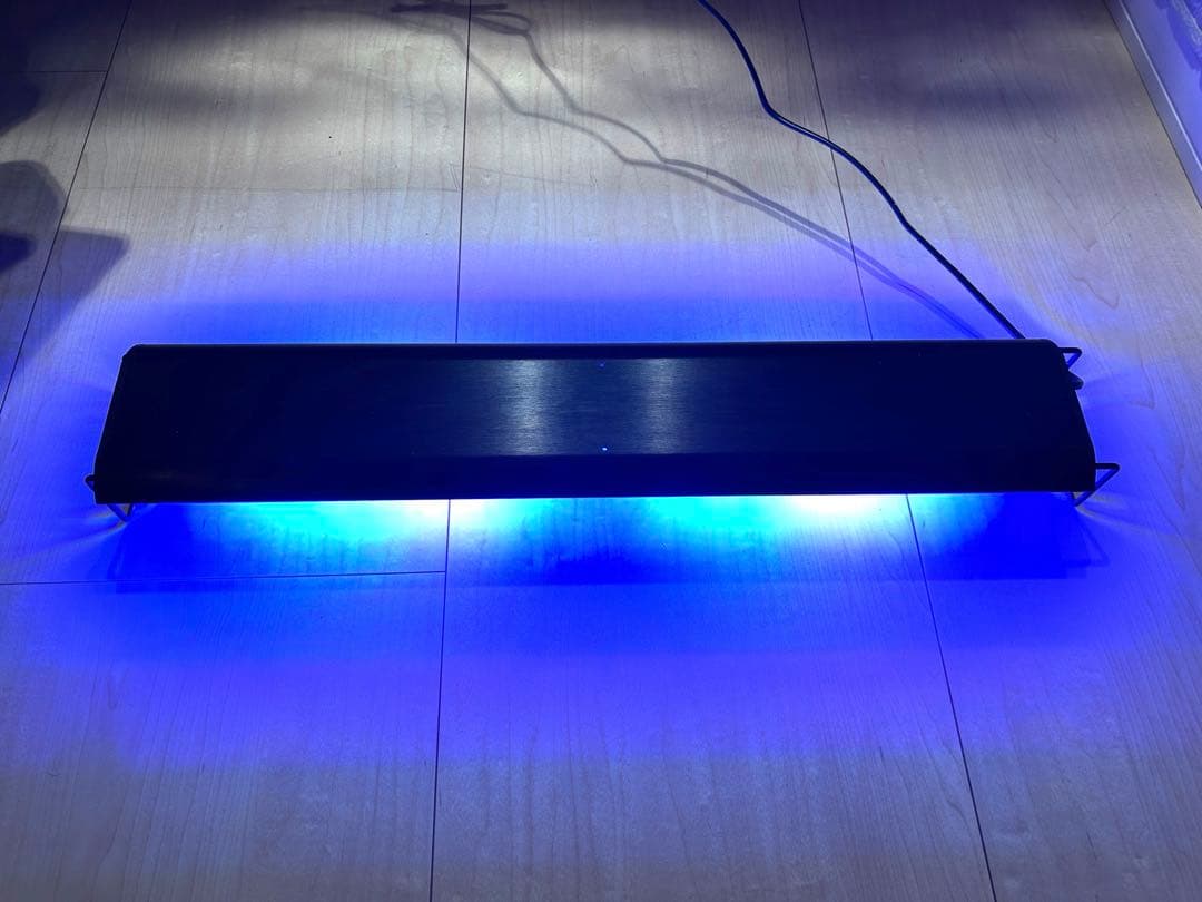 Grassy Wing2 60 グラッシー・ウィング2 60