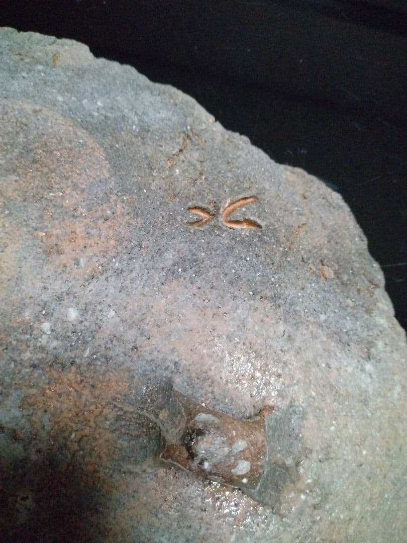 【備前焼 ３足皿】伝統工芸士  森本 桂／送料込み！