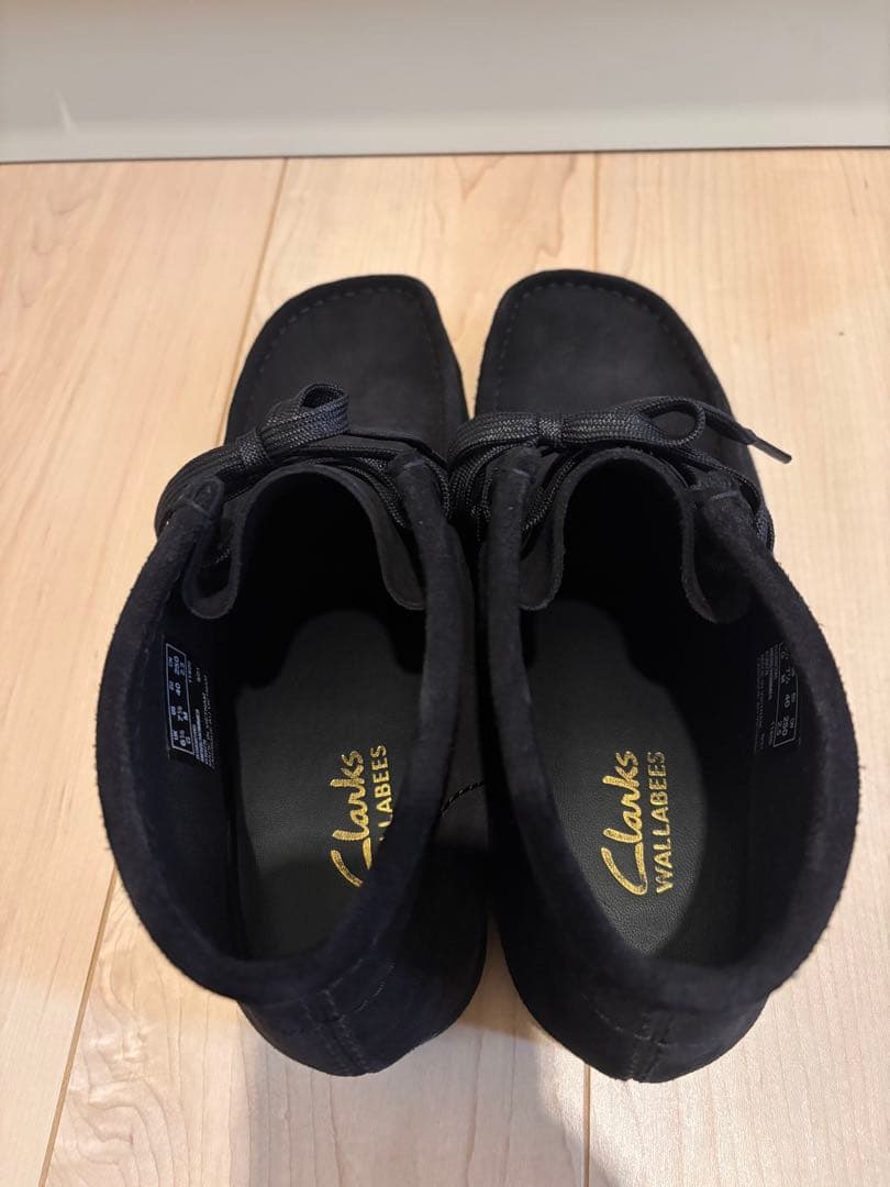 クラークスワラビー