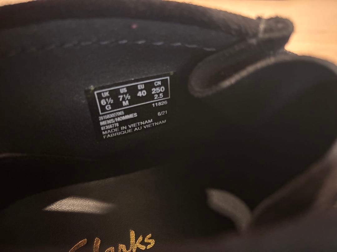 クラークスワラビー