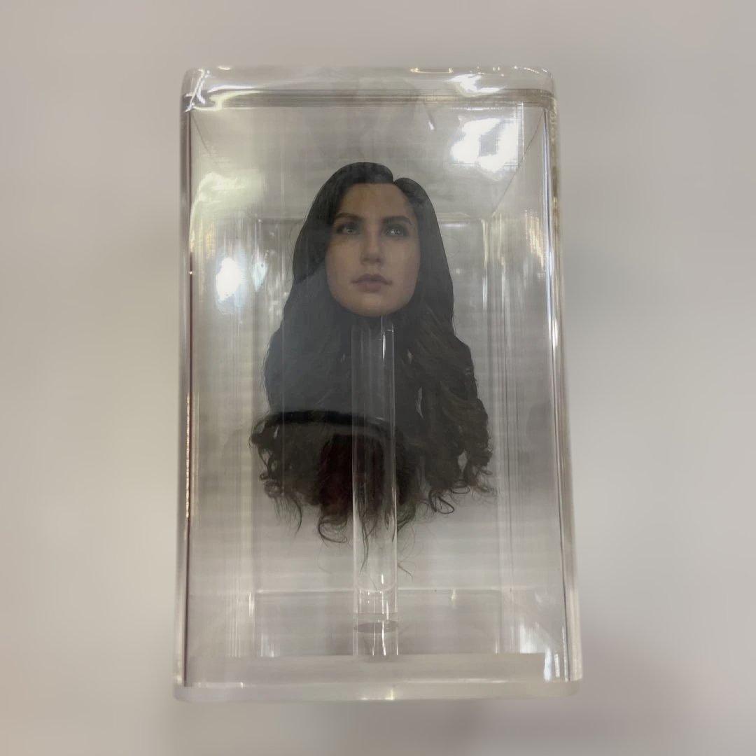 【未使用品】ホットトイズ ワンダーウーマン ワーナー100周年 MMS698