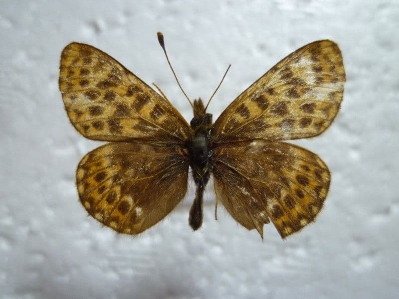 まるお様 リクエスト ３点 まとめ商品