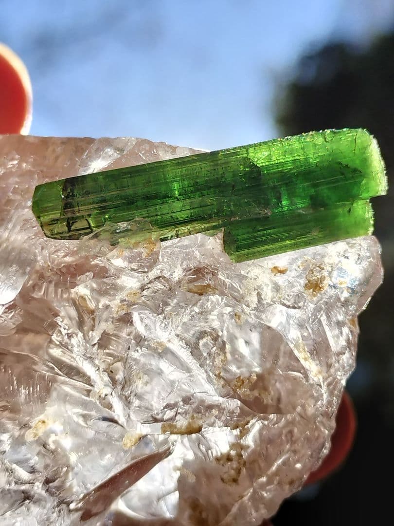 【奇跡的共演】グリーントルマリンオンクォーツ