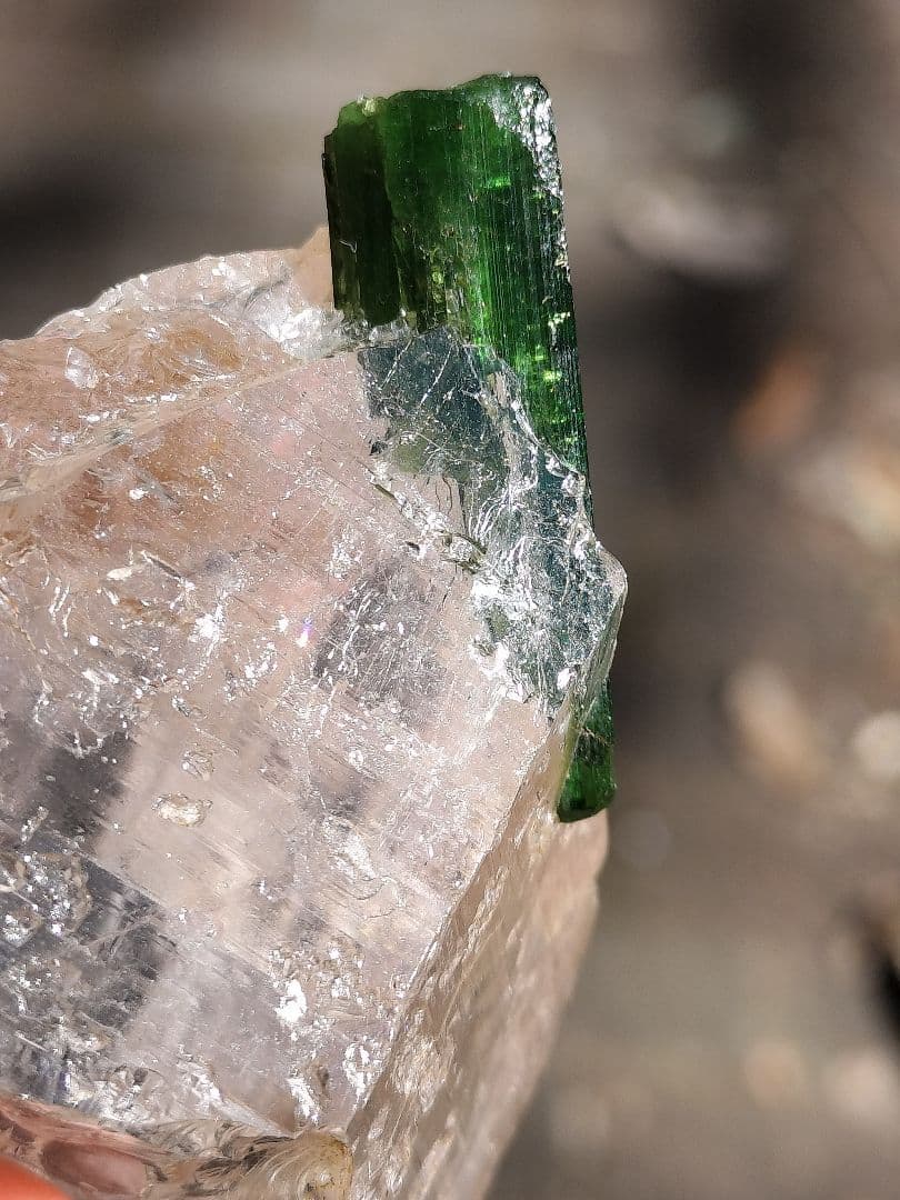 【奇跡的共演】グリーントルマリンオンクォーツ