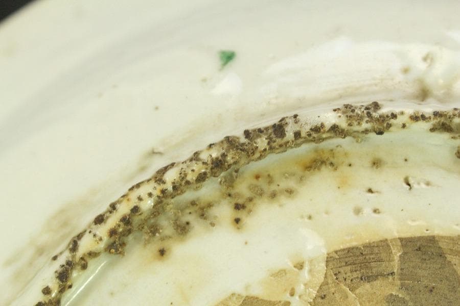 茶道具 唐物 呉須赤絵 鳳花紋 皿 φ25.5cm 中国美術(A928)