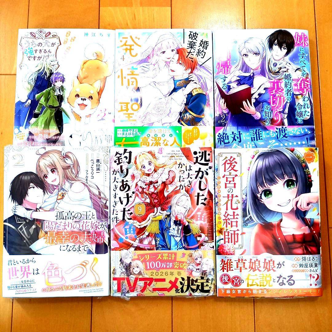 ◎11月新刊◎ꕤ୭*専用出品܀ꕤ୭*