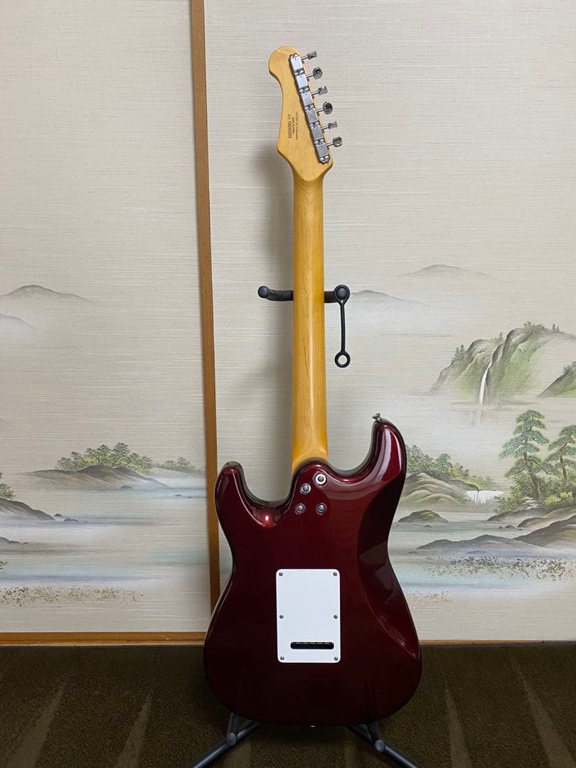 ア*ン様 HISTORY performance エレキギター