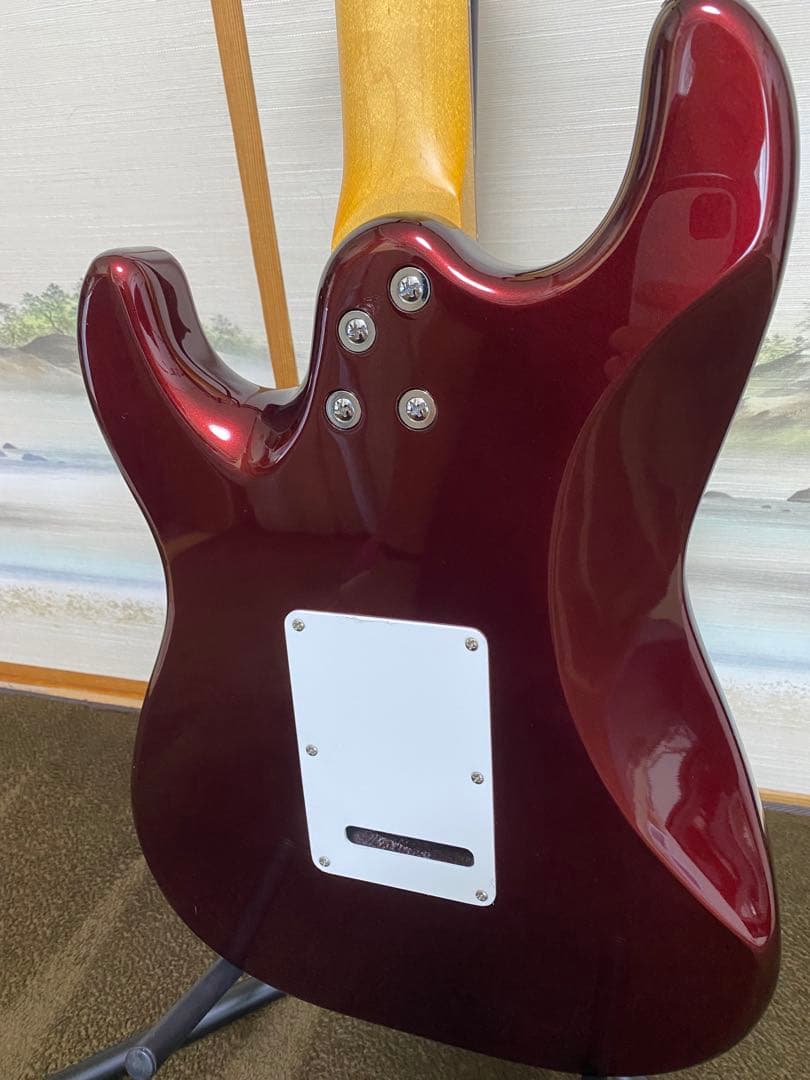 ア*ン様 HISTORY performance エレキギター