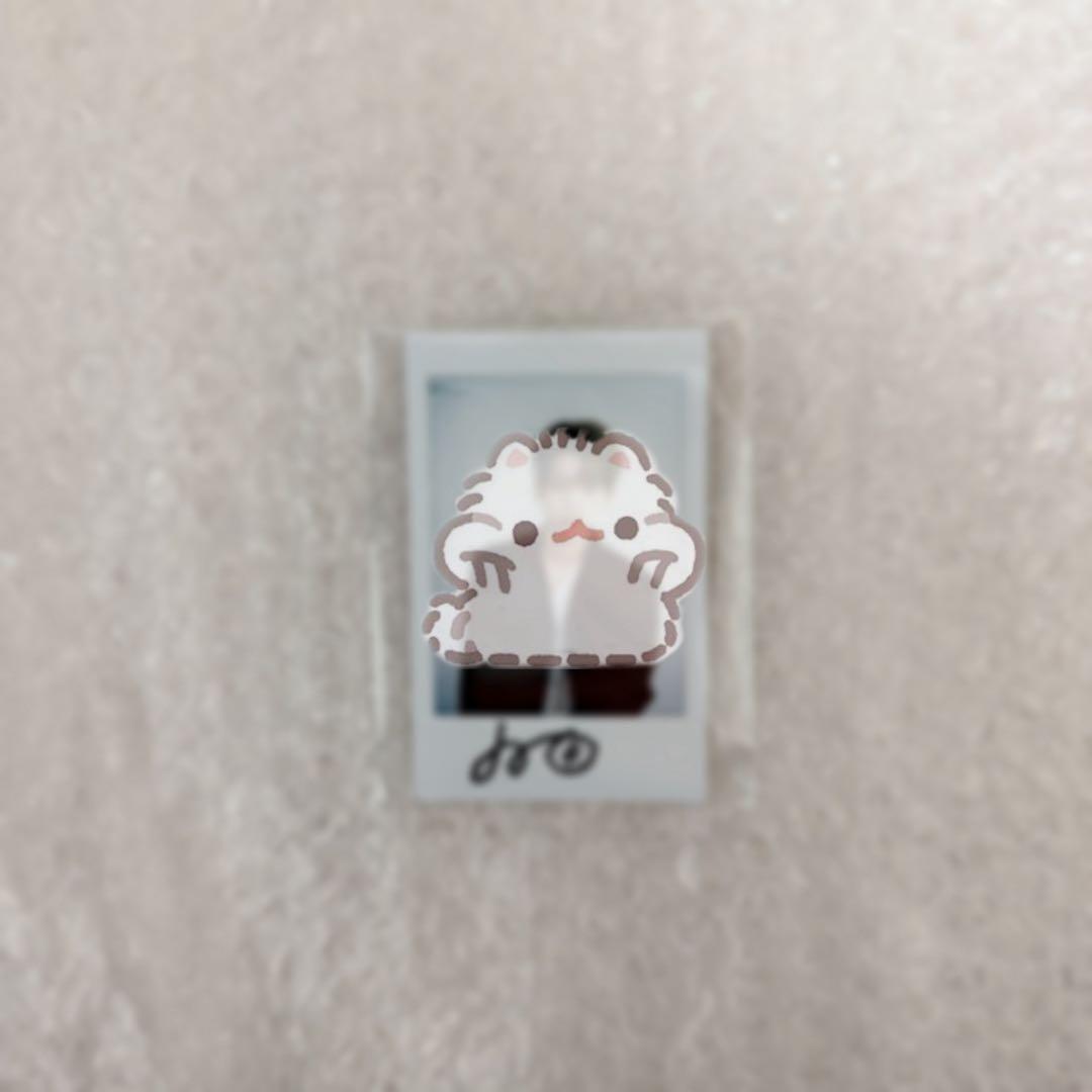 idntt ドフン サインポラロイド