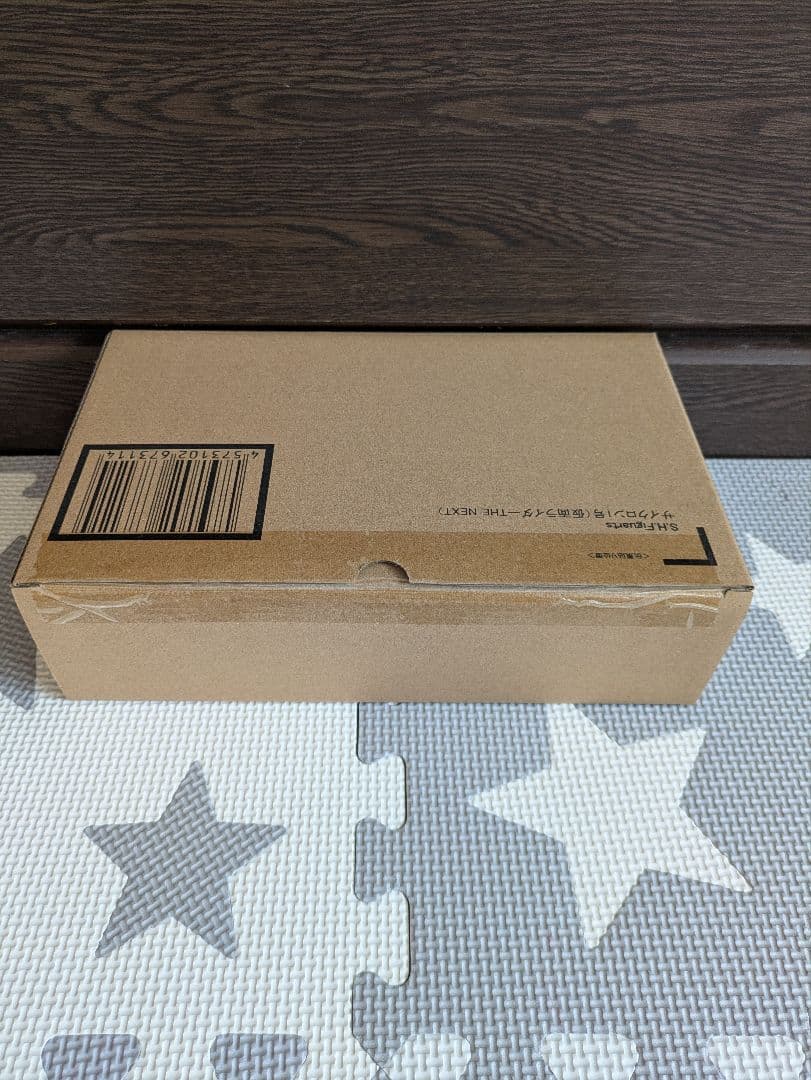 SHF仮面ライダー1号／本郷猛＆サイクロン1号（仮面ライダーTHE NEXT）