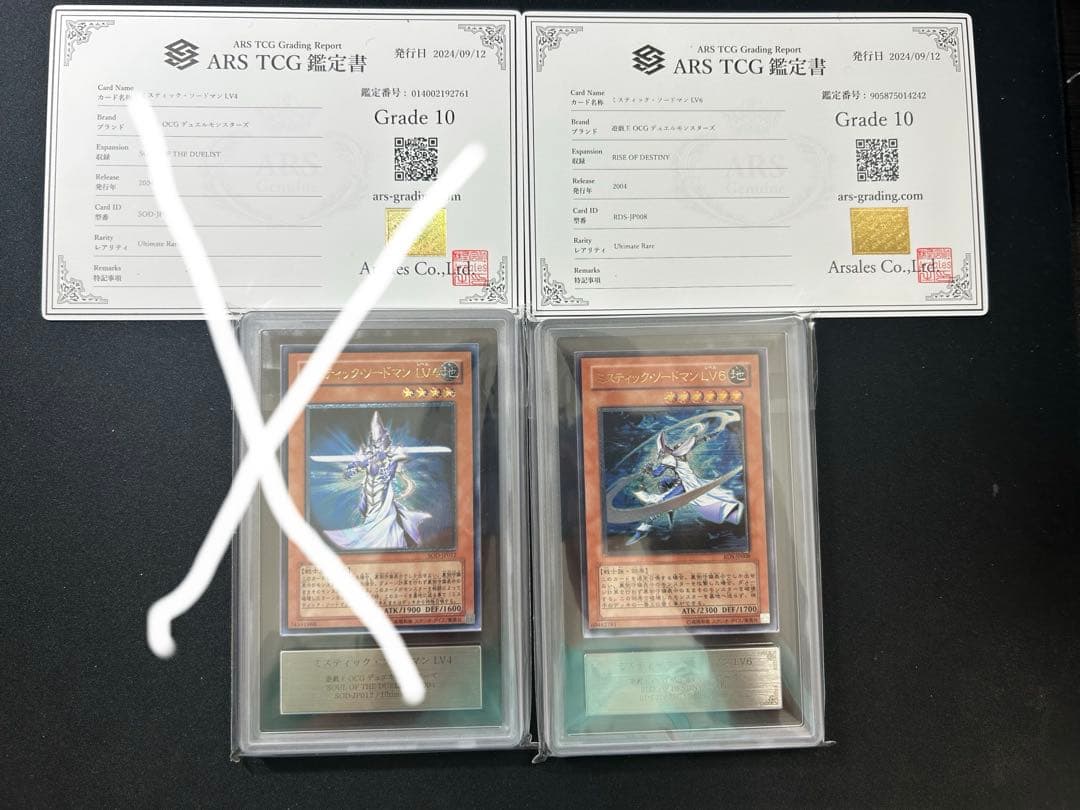 ミスティックソードマンレベル6のみ　ARS10