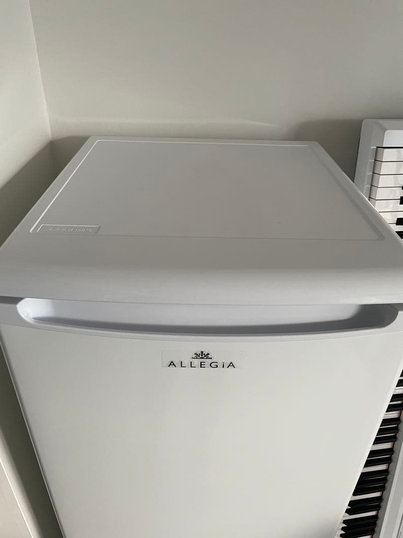 ALLEGIA スタンド式冷凍庫 自動霜取り機能付き 107L ホワイト