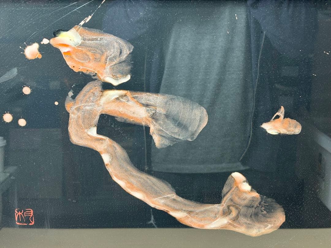 ひ*で様 抽象水彩画　作者不明　160サイズ