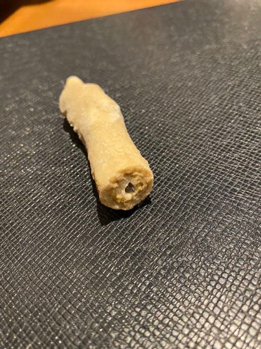 玉泉洞　鍾乳洞　格安