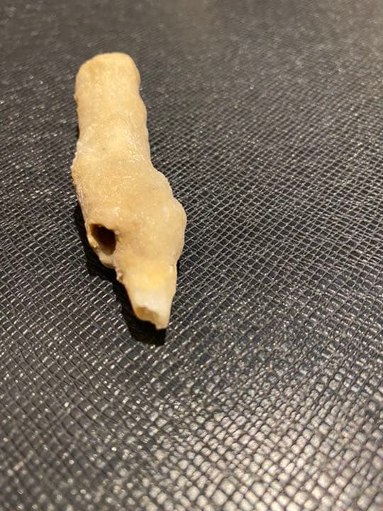 玉泉洞　鍾乳洞　格安