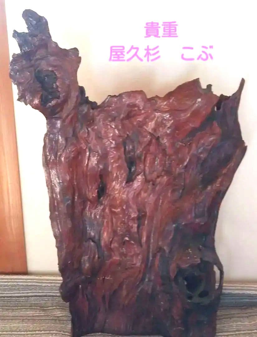 【貴重】屋久杉　原木　こぶ　オブジェ　置物　天然木