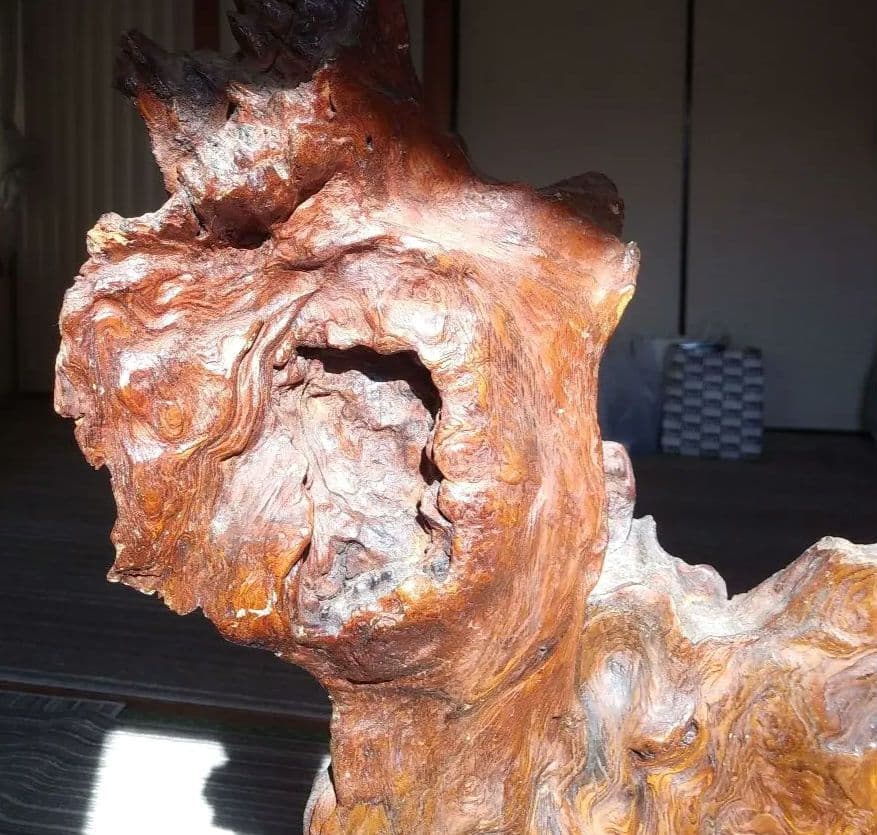 【貴重】屋久杉　原木　こぶ　オブジェ　置物　天然木