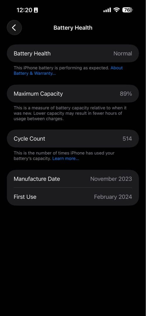 [山口さん専用]Apple iPhone 15 Pro Max 256GB 本体