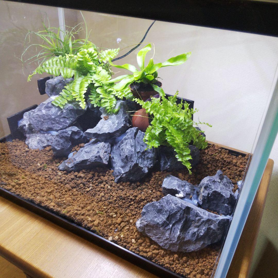 【オーダーメイド】滝のあるアクアテラリウム　苔テラリウム　アクアリウム
