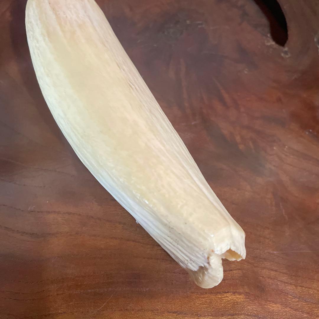 鯨の歯 約20cm 約440g クジラの歯