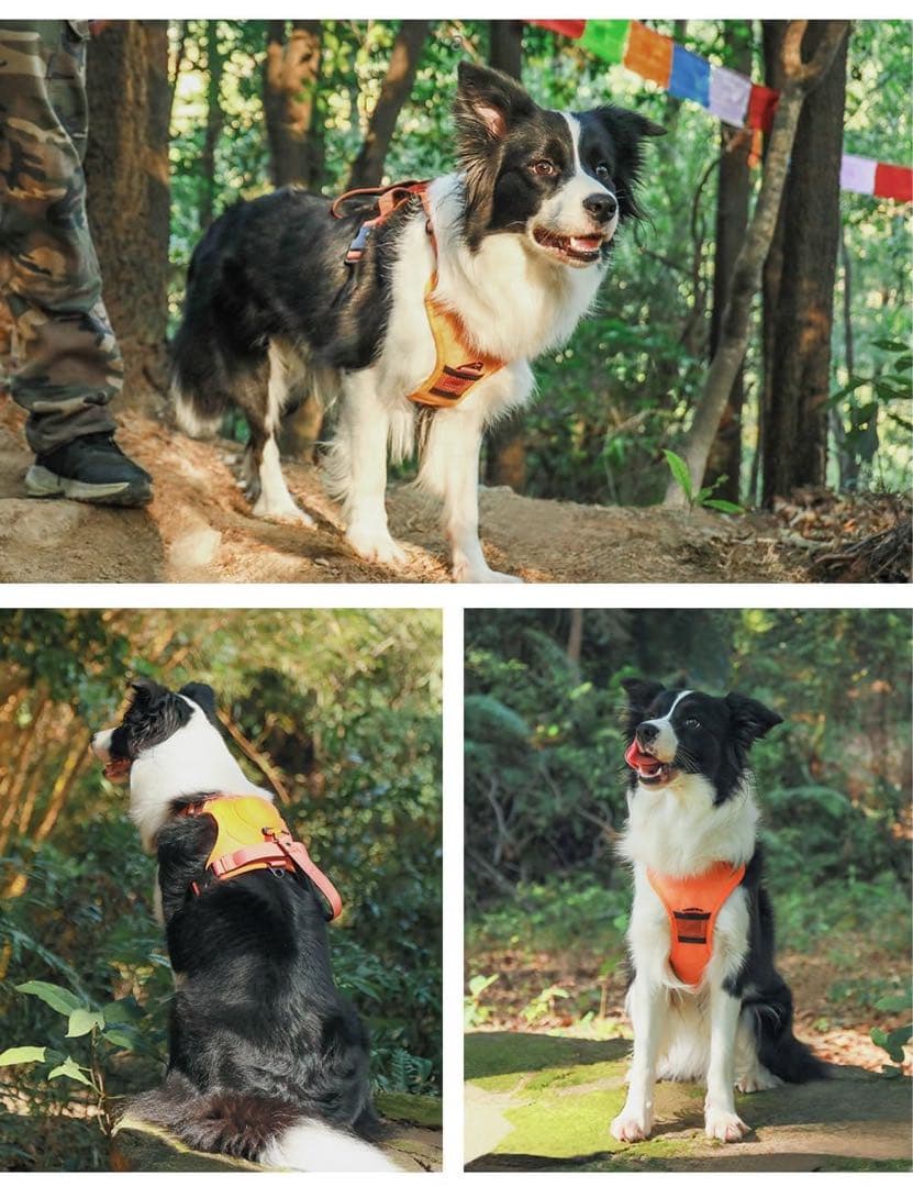 値下げ‼️引っ張らない格納式犬用ハーネス　Mサイズ