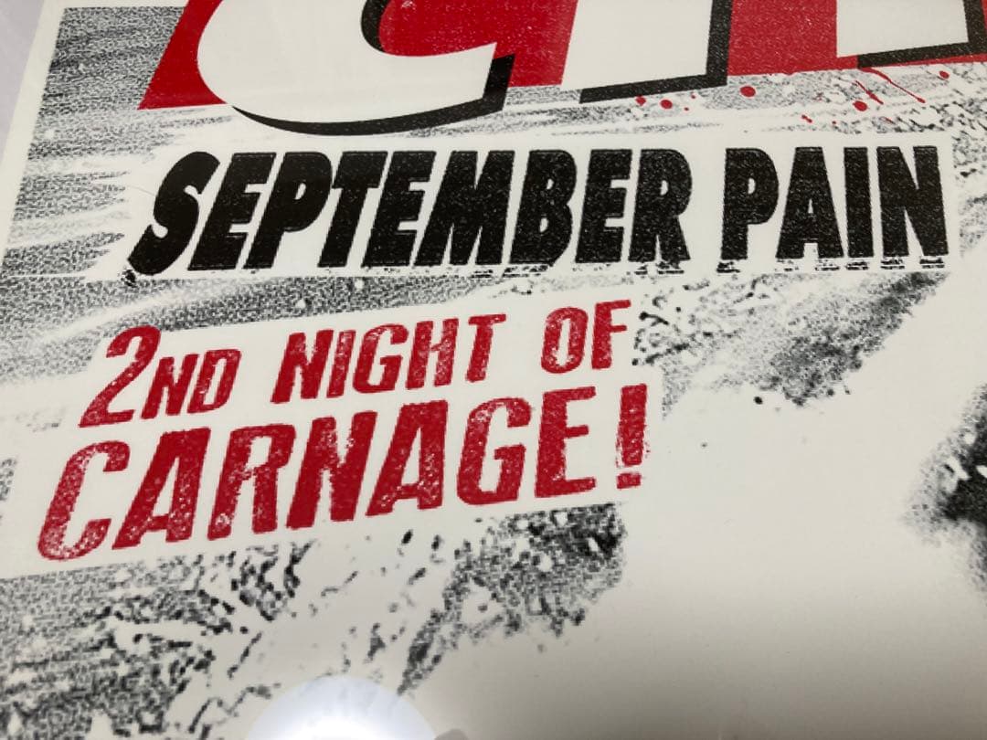 レア　Guns N' Roses リトグラフ　ガンズアンドローゼズ ポスター2日