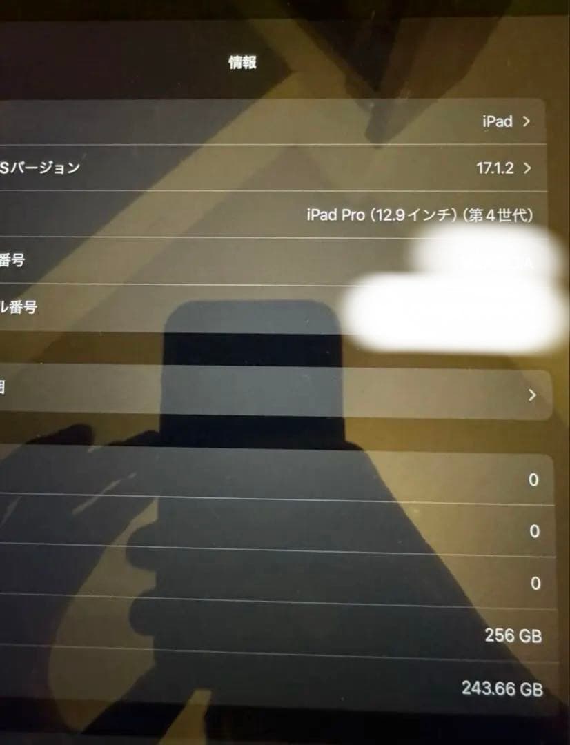 iPad Pro 第4世代 12.9インチ 256GB