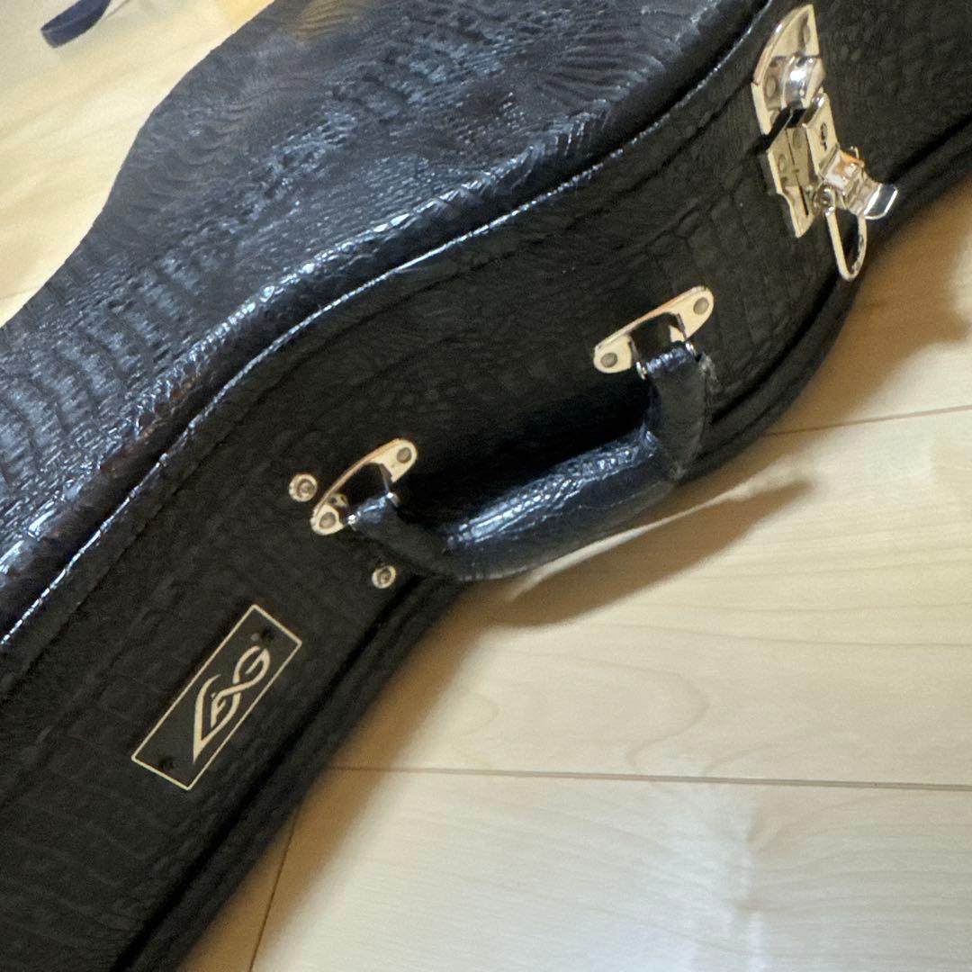 LFG アコースティックギター　ケース　ピック付き