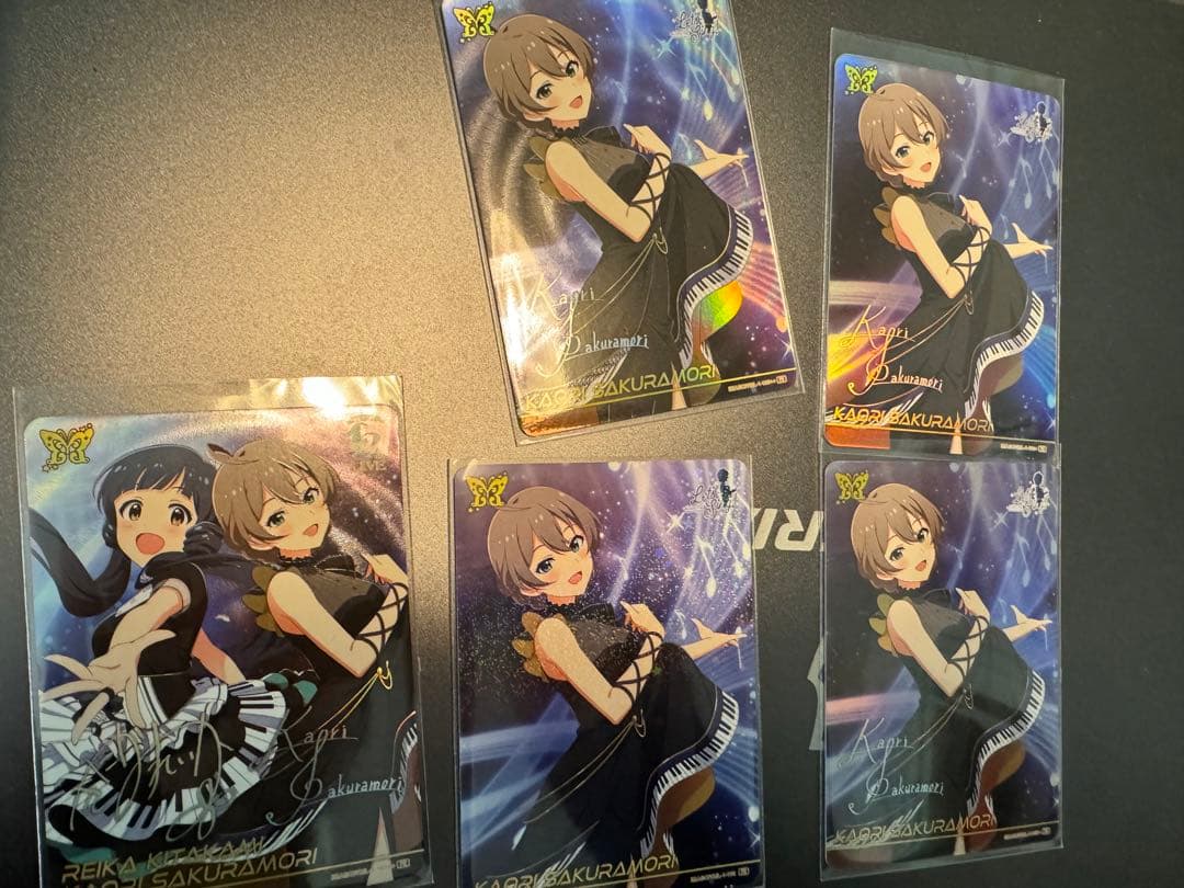 せり　カードフォリオ