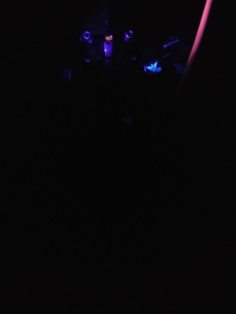 SDガンダムbb戦士シナンジュ完成品