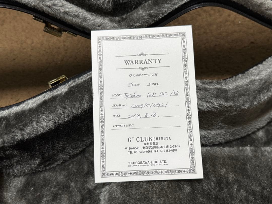 Epiphone TAK MATSUMOTO DC アクアブルー