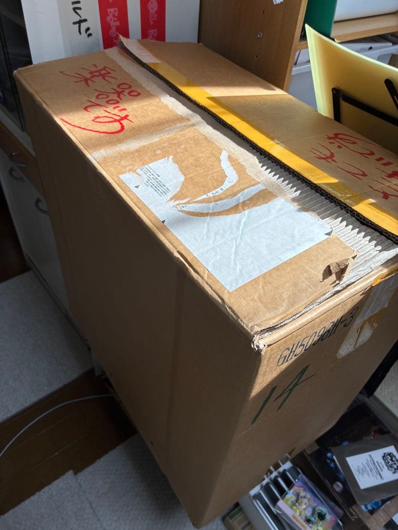 【即決優先】Bébé Medusa 中型　ゴールド