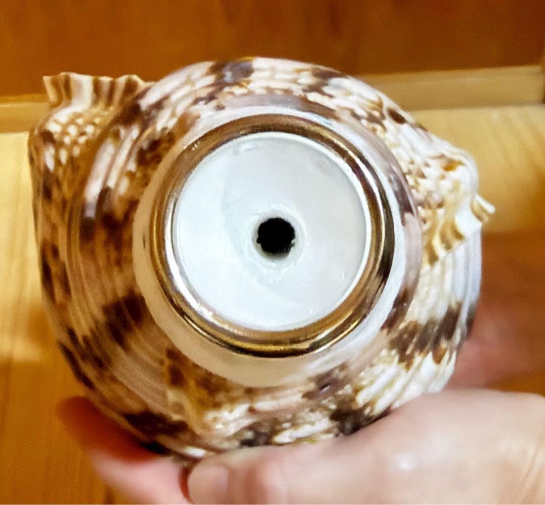 ケ*ン様 修験道法螺貝36㎝　山伏　密教　魔除け　熊よけ❣️ホラガイ　ほら貝