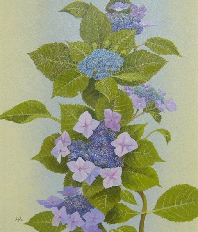 絵画 油絵 田浦信勝 肉筆油絵 静物画 額紫陽花 F8