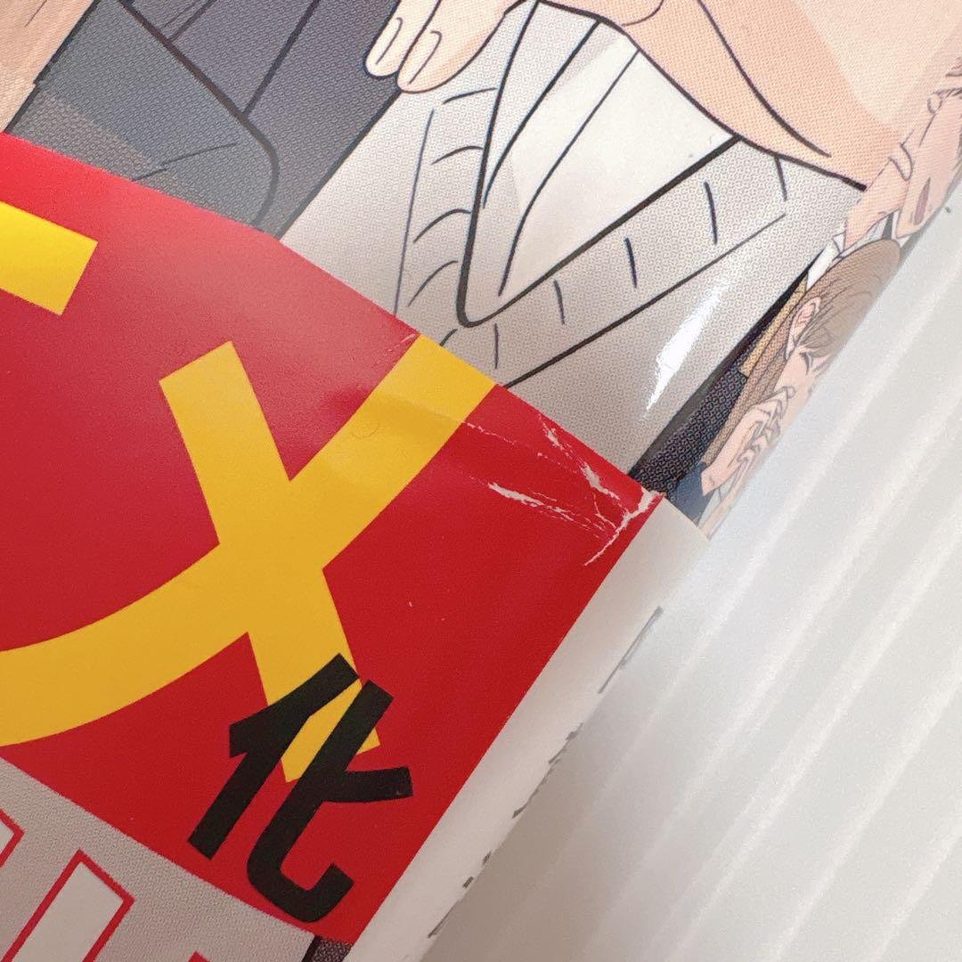 氷の城壁 1〜14巻 まとめ売り