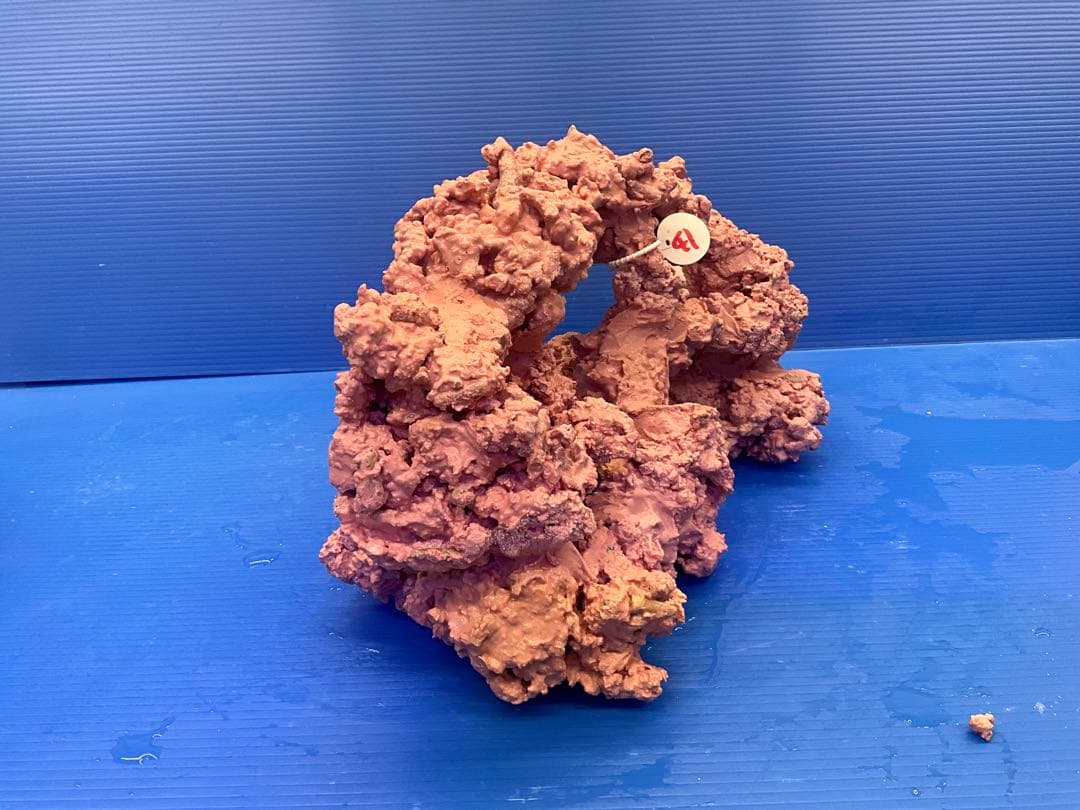 人工ライブロック　No.41. 無害化処理済