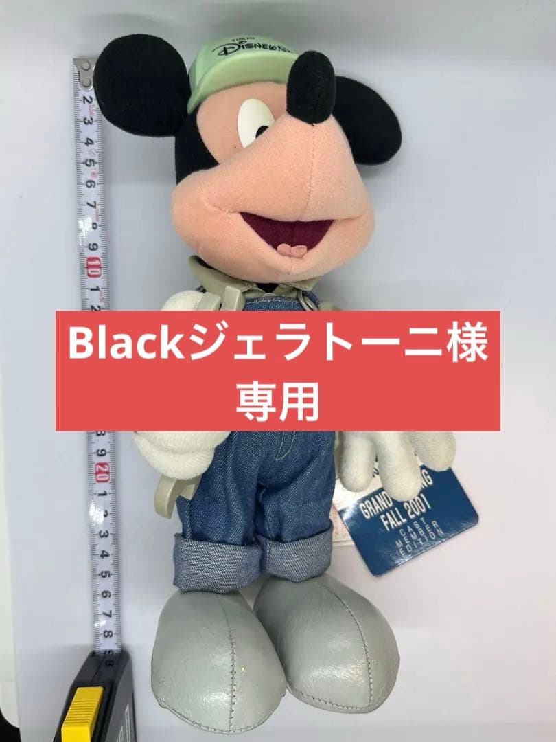 《希少品》TDS 東京ディズニーシー　2001年　キャストメンバー ミッキー