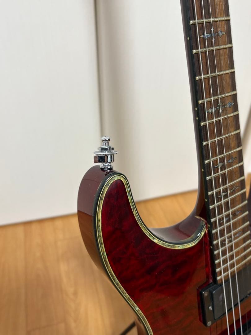 SCHECTER HELLRAISER シェクター ヘルレイザー