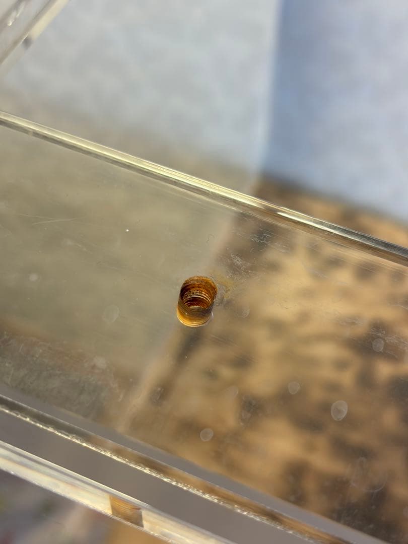 1500×600×600 大型アクリル水槽