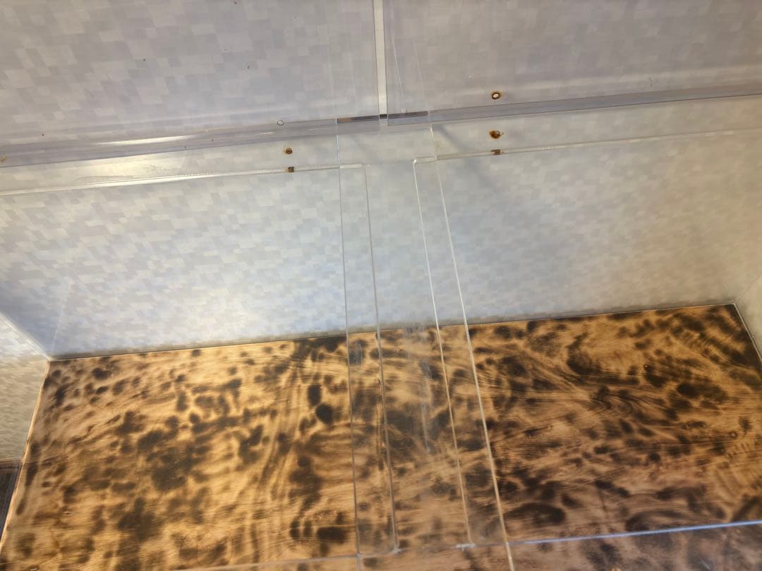 1500×600×600 大型アクリル水槽