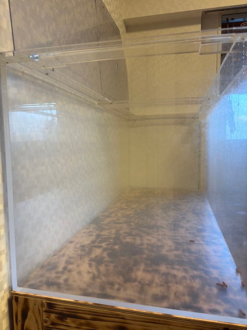 1500×600×600 大型アクリル水槽