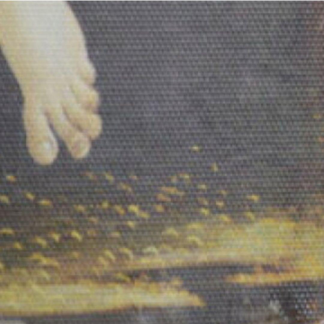 画家サンドロ・ボッティチェッリ作品　ヴィーナスの誕生　良質キャンバス　金箔額縁付